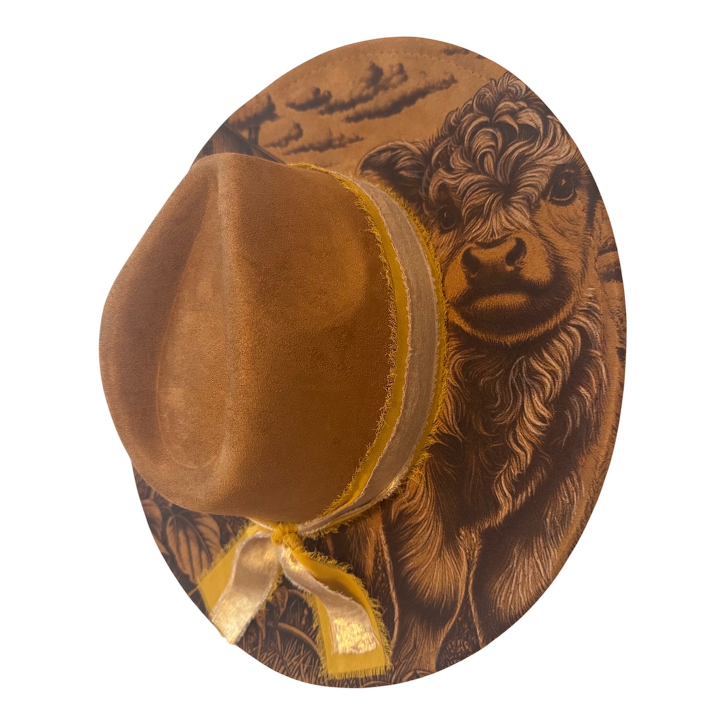 Wide Brim Fedora Hat
